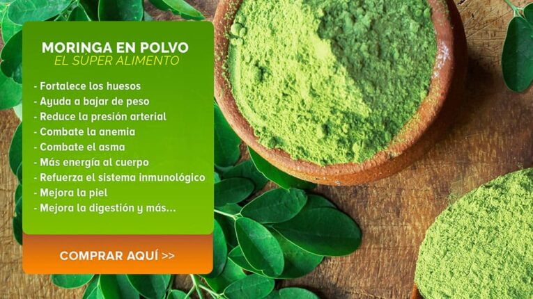 Moringa Propiedades Y Beneficios Para La Salud Saludeo