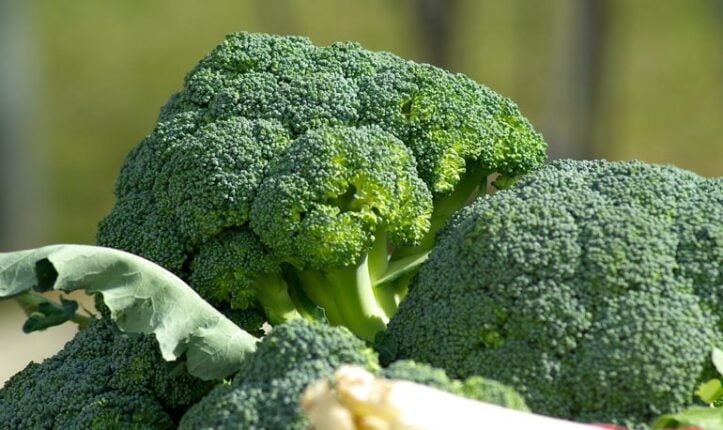 brocoli