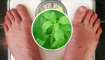 stevia para combatir la obesidad