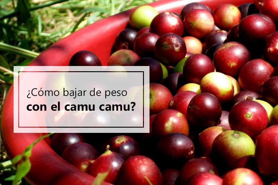 como-bajar-peso-camu-camu