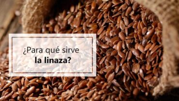 para-que-sirve-linaza