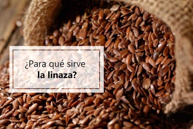 para-que-sirve-linaza