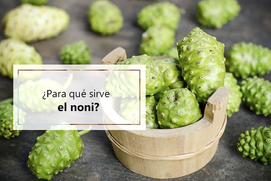 para-que-sirve-noni