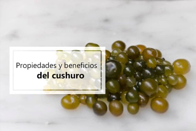 propiedades-beneficios-cushuro